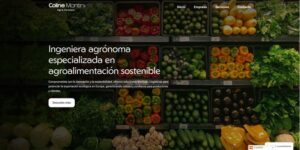 Portada de la web csagroconnect.com realizada con el Kit Digital"