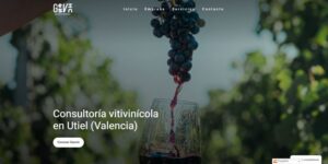 Portada de la web gesvin.es realizada con el Kit Digital"